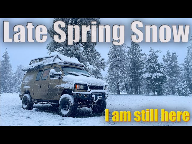 Late Spring Snowstorm - I am still here class=
