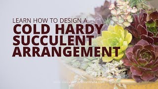 How to Create a Cold Hardy Succulent Arrangement