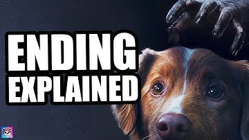 GOOD BOY Ending Explained - What it