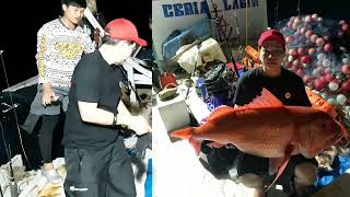 Strike Ikan Ruby Snapper babon 24kg Up,...!!! #mancing #babon #ruby  #mancingmania #selayar