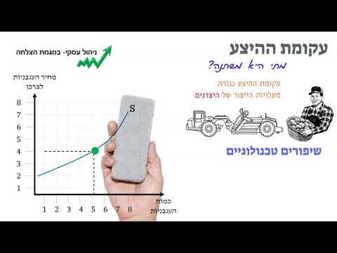 וִידֵאוֹ: מהו היצע שוק בכלכלה?