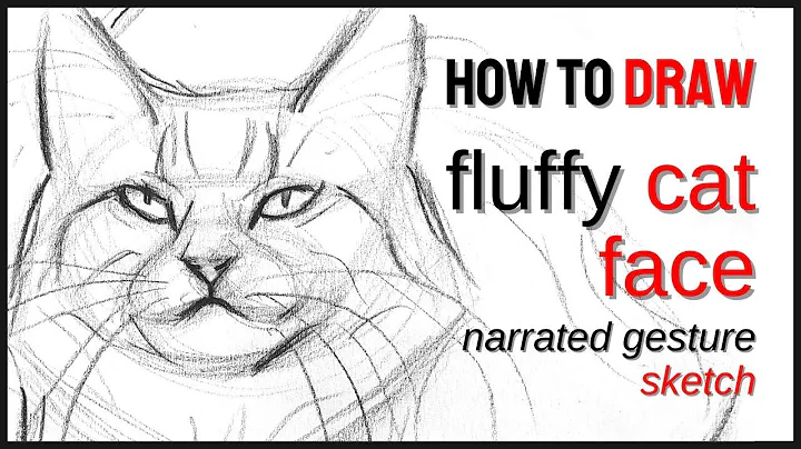 Video 4820131: maine coon norwegian forest, tabby maine coon, longhair cat, cat exploring, best cat