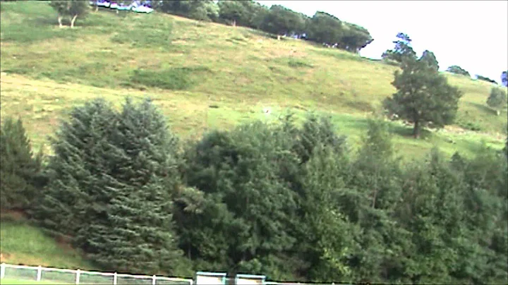 Align Trex 450 pro crash !