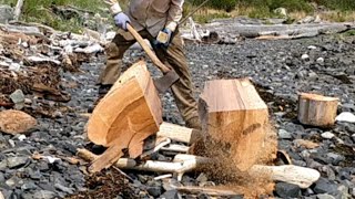 Beachcombing for Cedar - The Twin Whales