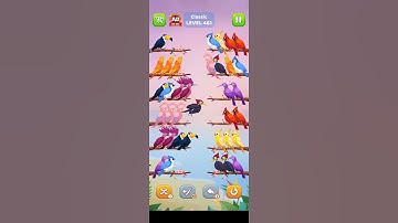 #bird #sort #level 460