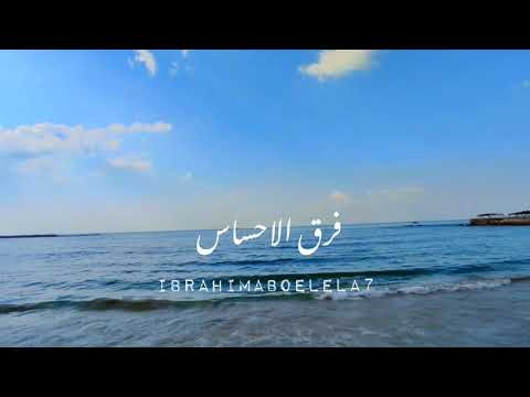 باين حبيت عمرو دياب 