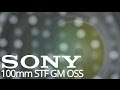 Sony 100mm F2.8/T5.6  STF GM OSS - Features