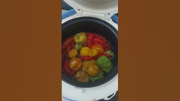 sambal terasi