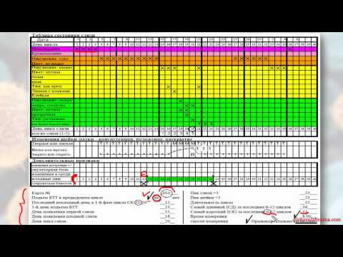 СимптоТермальный Метод Распознавания Плодности (СТМРП, СТ-метод), Урок 6