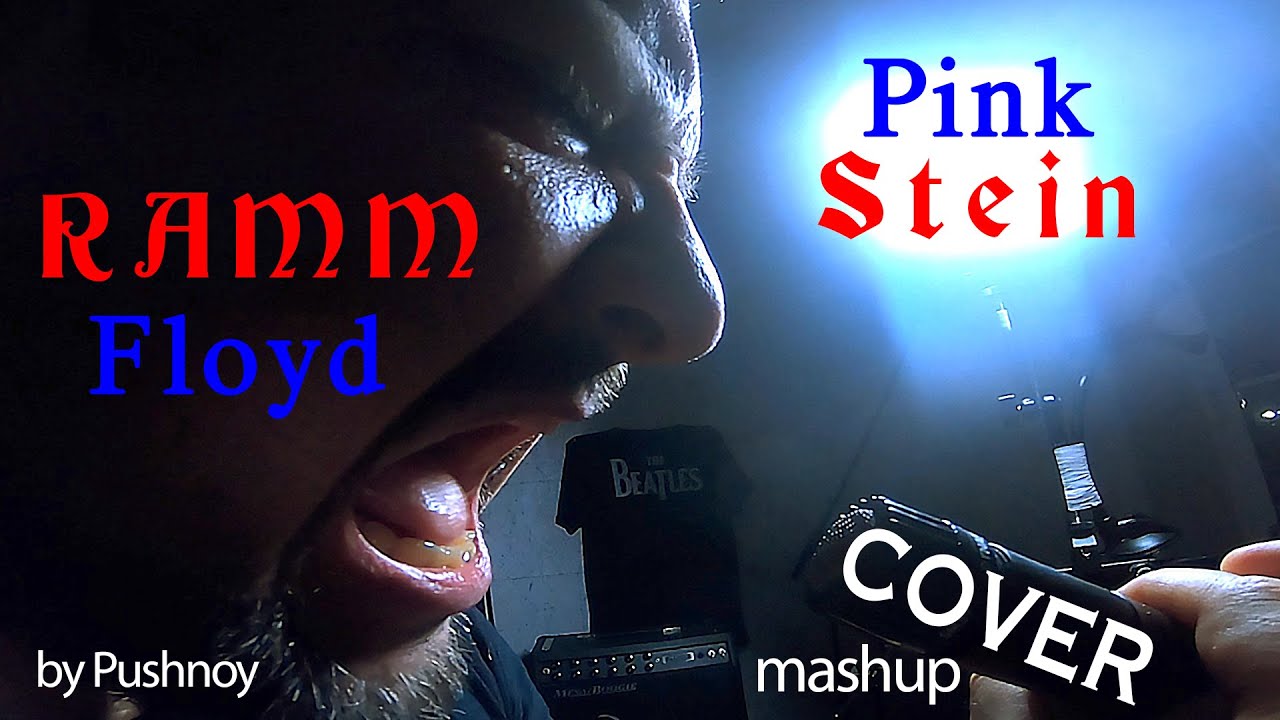 RammFloyd (PinkStein) COVER by Pushnoy