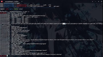 Exploiting a simple buffer overflow vulnerability | Binary Exploitation