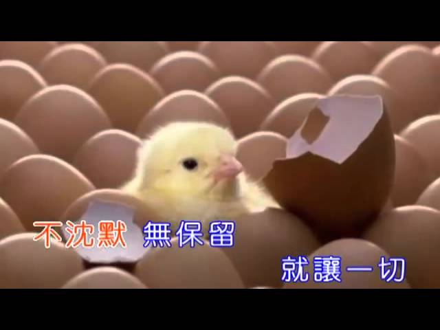 因為你因為我 accordi