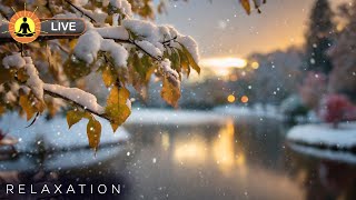 🔴 Relaxing Music 24/7, Stress Relief Music, Sleep Music, Meditation Music, Study, Calming Music screenshot 4