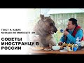 Learn Russian Through Story | Level 3 | B1| Intermediate | Советы иностранцам в России