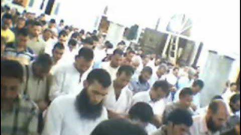 الله الذى خلقكم -الشيخ مصطفى خميس-سورة الروم