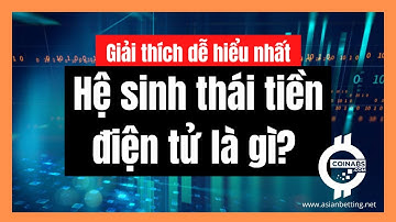 Hệ sinh thái tiền điện tử là gì? | COINABS.COM