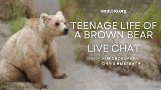 The Teenage Life of a Brown Bear | Brooks Live Chat