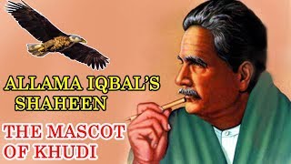 Allama iqbal's shaheen The mascot of khudi