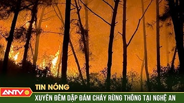 Hơn 400 người xuyên đêm dập tắt cháy rừng ở Nghệ An | ANTV