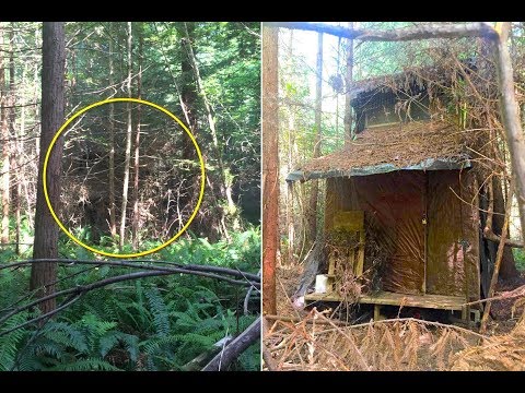 A Ranger Found an Abandoned Cabin Hidden in the Woods. What Was Inside Is Seriously Creepy