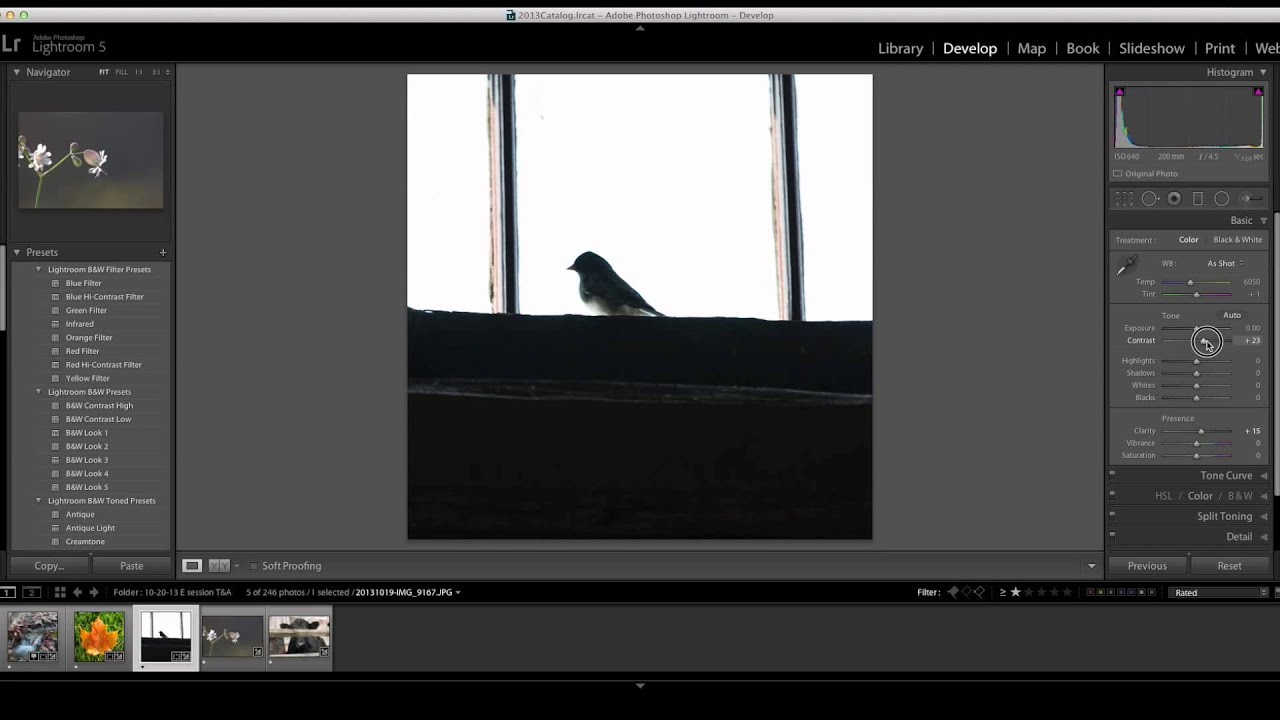 canon definicion Lightroom, Dropbox and Instagram Workflow