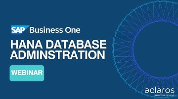 SAP Business One HANA Database Management