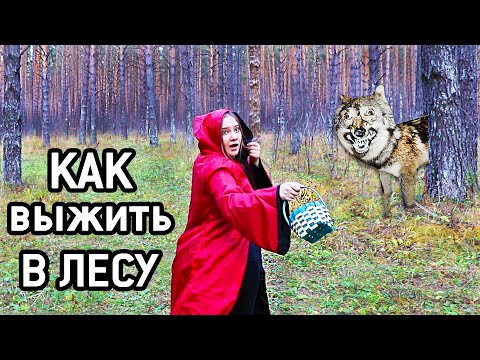 Как выжить в лесу мультфильм