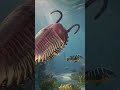 Los trilobites del Ordovícico #documental #history #titanes #tierra