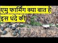 Most Profitable Business || Emu Farming Business in india || shailesh and nhtv