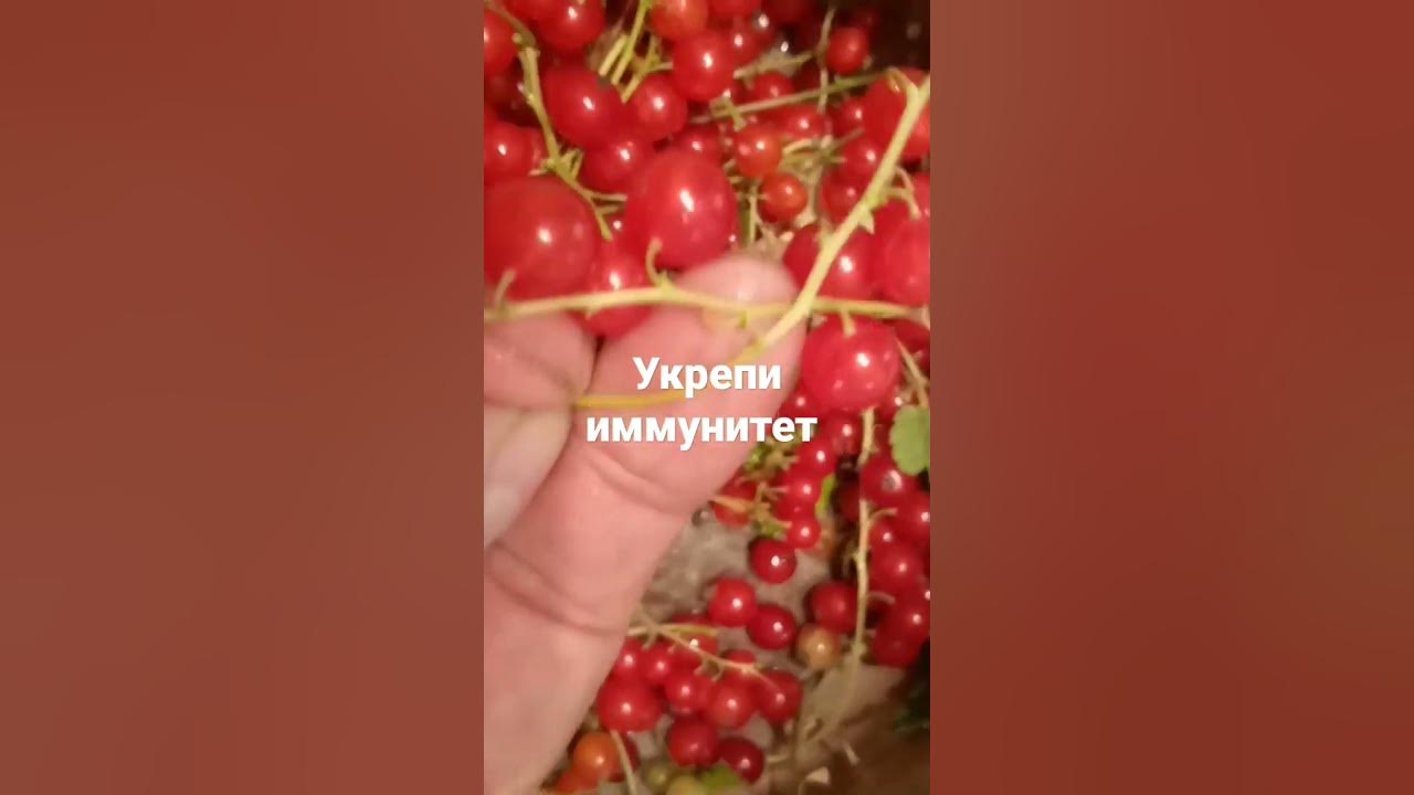 если будешь пить этот компот, морщин и хвори не будет!!! - YouTube