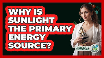 Why Is Sunlight The Primary Energy Source?