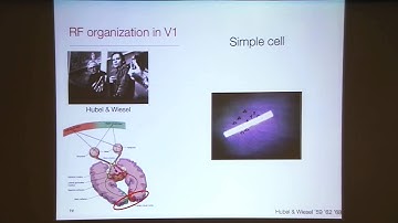 Thomas Serre: "Deep Learning in the Visual Cortex, Pt. 1"