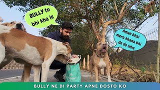 Bully👺 kya khata hai ! Donated all gifts to community dogs 😍