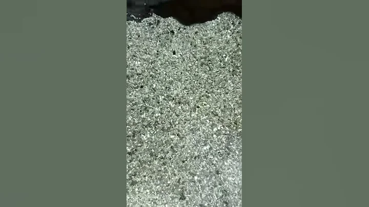 My dead stingray collection