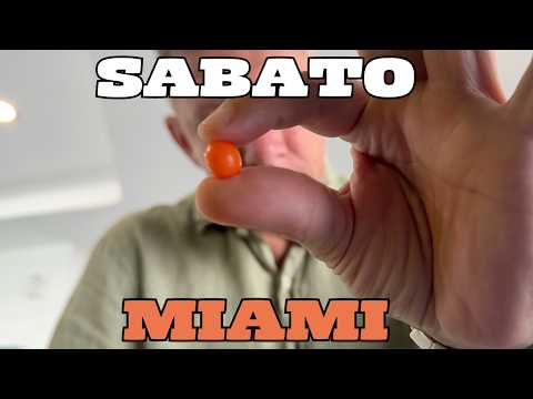 SABATO in AMERICA