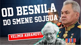 Velimir Abramović: OD BESNILA DO SMENE ŠOJGUA