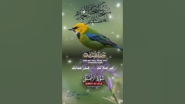 تلاوة خاشعة عطرة مباركة جميلة عذبة للشيخ ماهر المعيقلي ماتيسر من سورة الأعلى