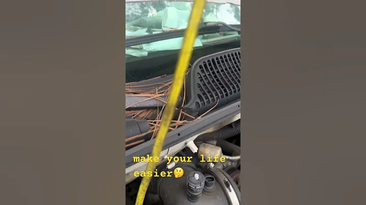 Serpentine belt, hack🤔