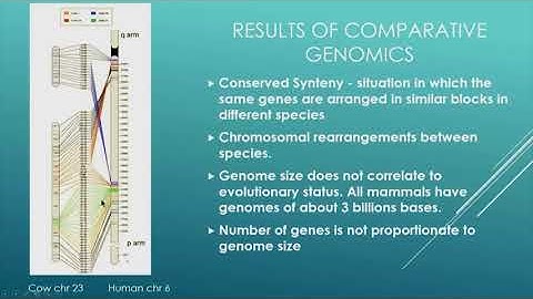 Comparative Genomics