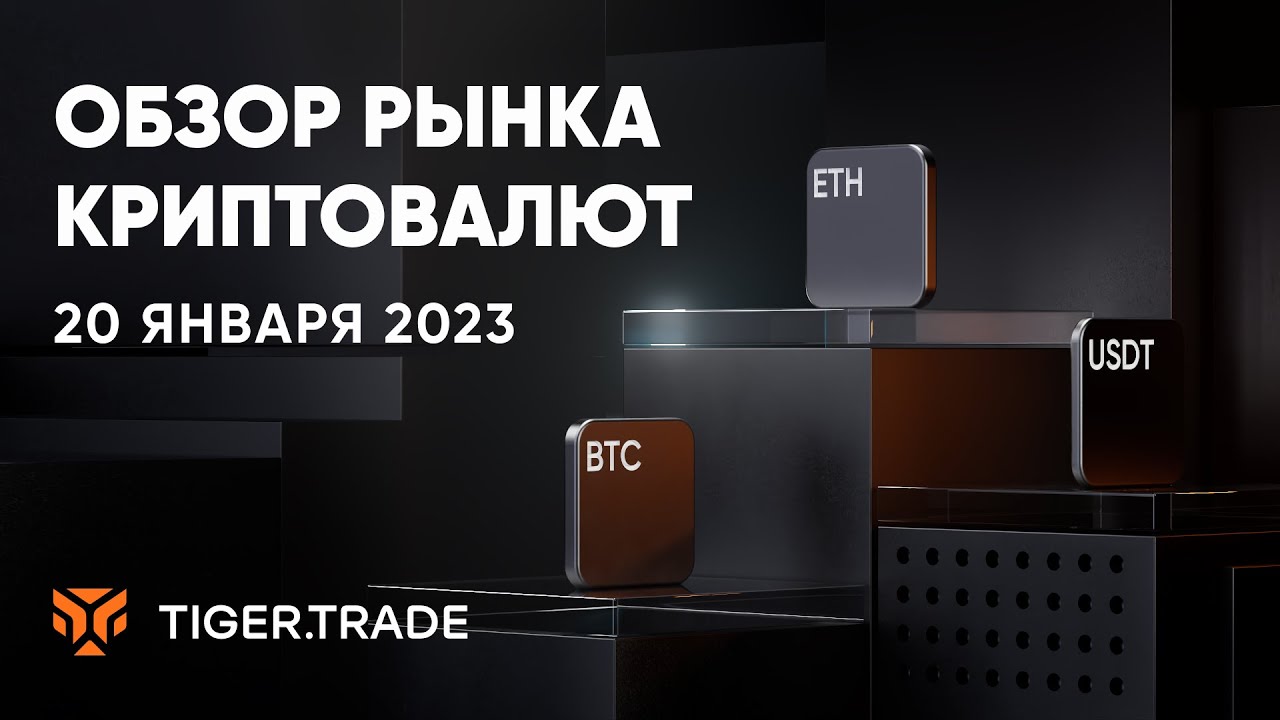 Скальпинг криптовалют 20.01.2023 — Tiger.Trade