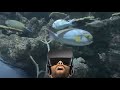 Seattle Aquarium #9 in VR180 3D 4K - Tropical Fish