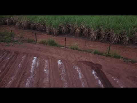 Vídeo: Canais De Irrigação Do Vale De Chulyshman - Visão Alternativa