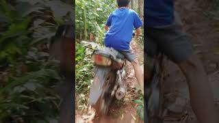 Download Lagu trabas maseh MP3 Download Lagu trabas maseh MP3