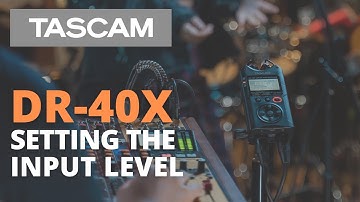 TASCAM DR-40X | Input Level