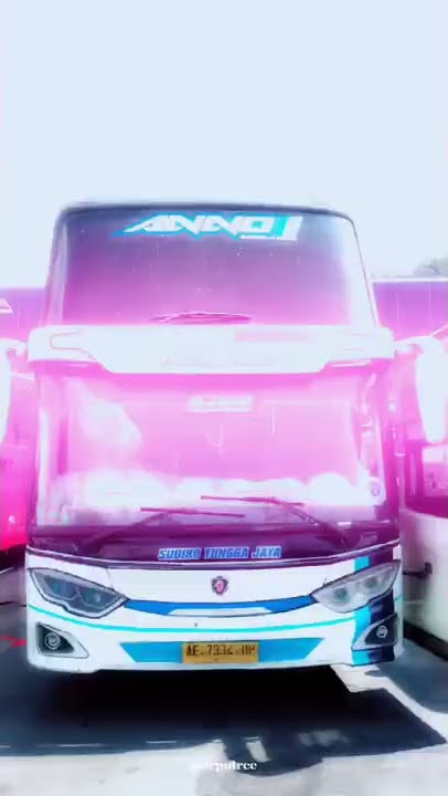 Story wa||12detik Bus Stj Anno#shorts