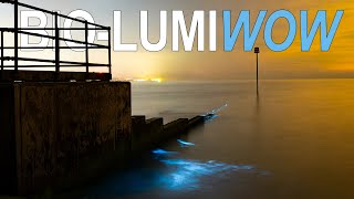 Incredible Bioluminescence Caught On Camera At St Marys Bay, Kent Uk.