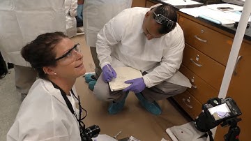 Bloodstain Pattern Analysis on Textiles: Technology Transition Workshop