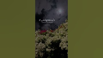 أرح سمعك، #القارئ_طارق_محمد.🎧💙 #غيث. 🤍 أكتب شيء تؤجر عليه.🌺🌱