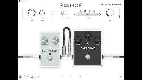 Neural DSP Archetype Plini SRV Tone Settings