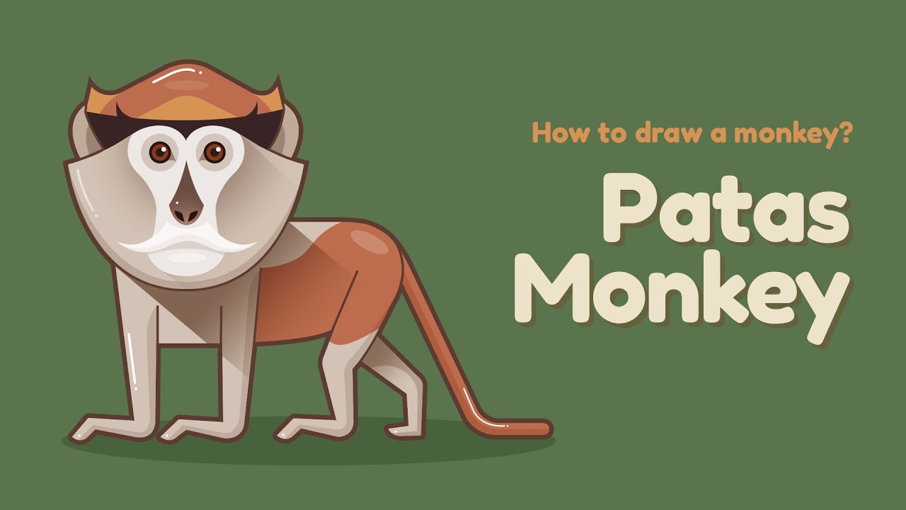 HOW TO DRAW A MONKEY - COMO DESENHAR UM MACACO 